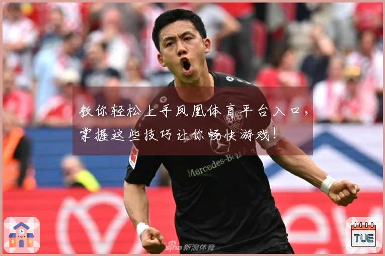 教你轻松上手凤凰体育平台入口，掌握这些技巧让你畅快游戏！