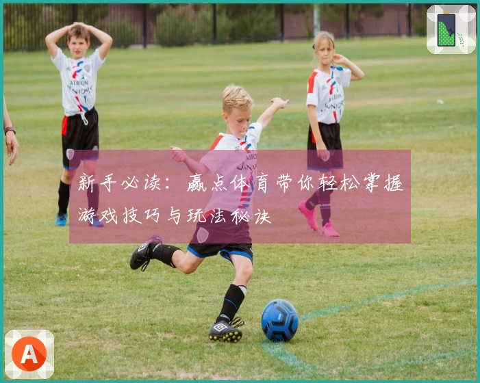 新手必读：赢点体育带你轻松掌握游戏技巧与玩法秘诀